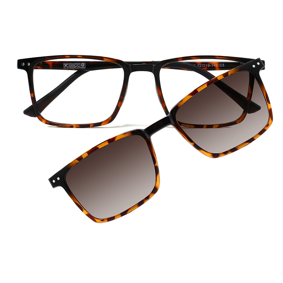 David Eyeglasses in Warm Tortoise