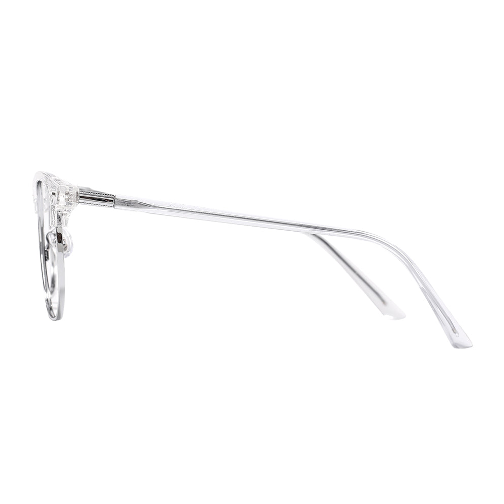 Aviva Eyeglasses in Clear & Silver