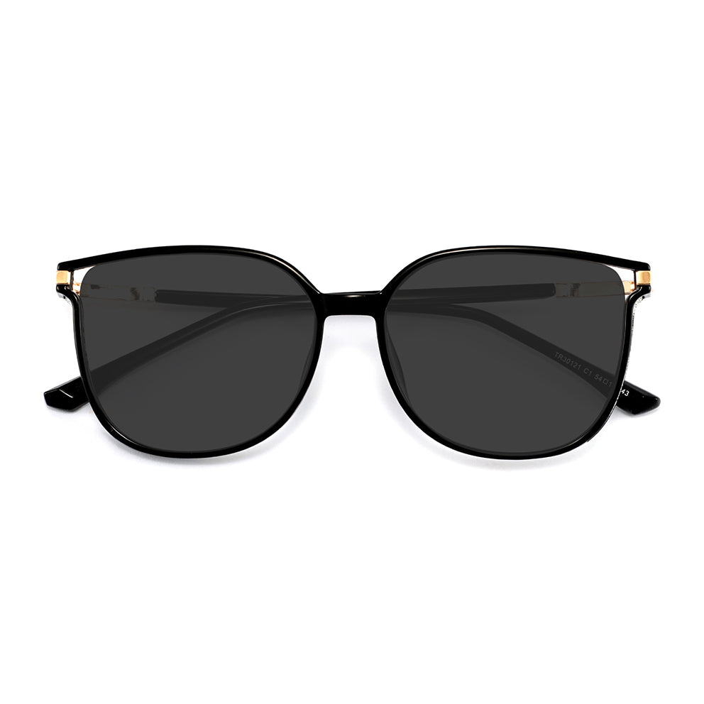 Aysun Sunglasses in Black