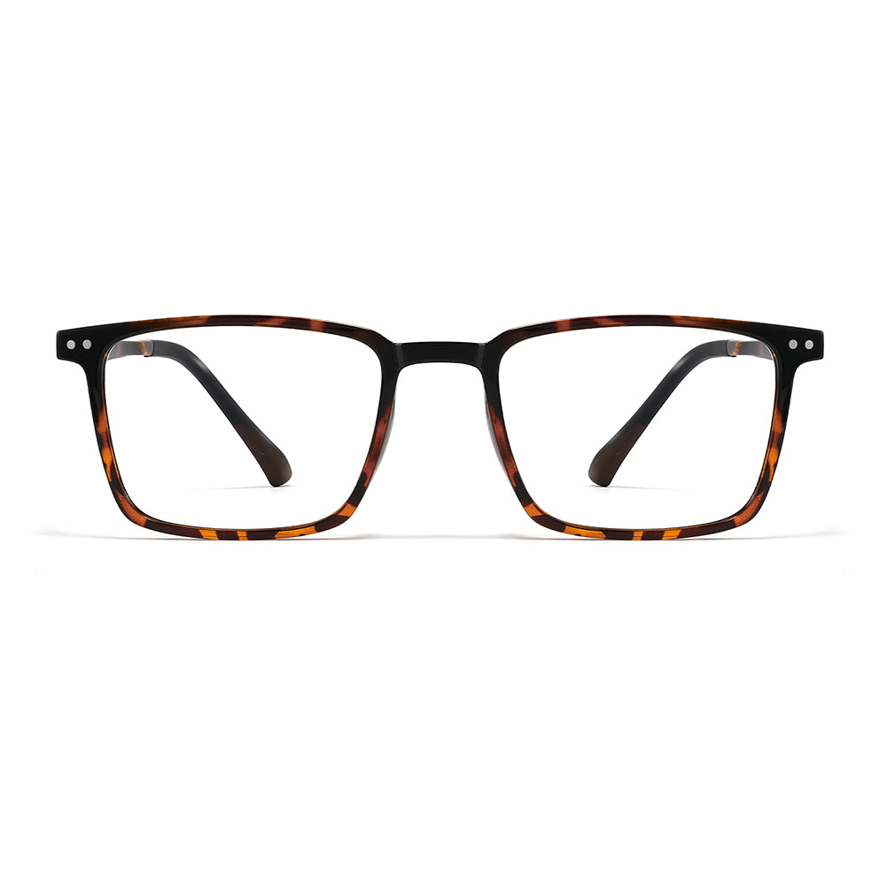 David Eyeglasses in Warm Tortoise